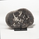 Laja de Septaria 13cm con Base