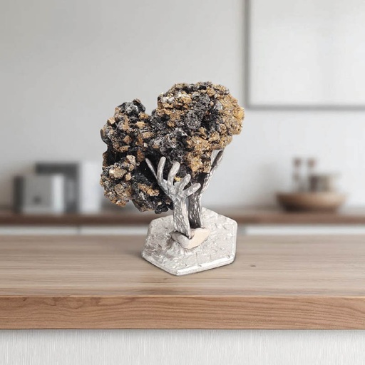 Cerusita con Pirita 5.5cm con Base